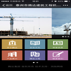騰達塔吊集團  微信開發(fā)維護