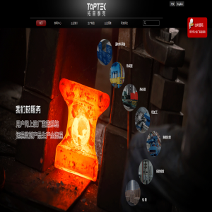 江蘇拓普泰克 網站建設及系統開發