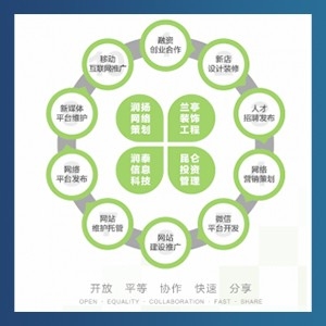 2016年 整合模式后的陣痛
