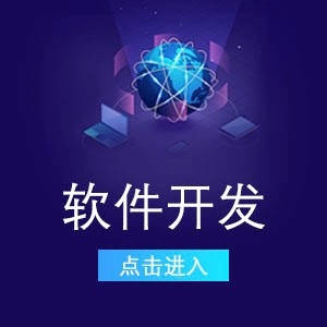 軟件開發